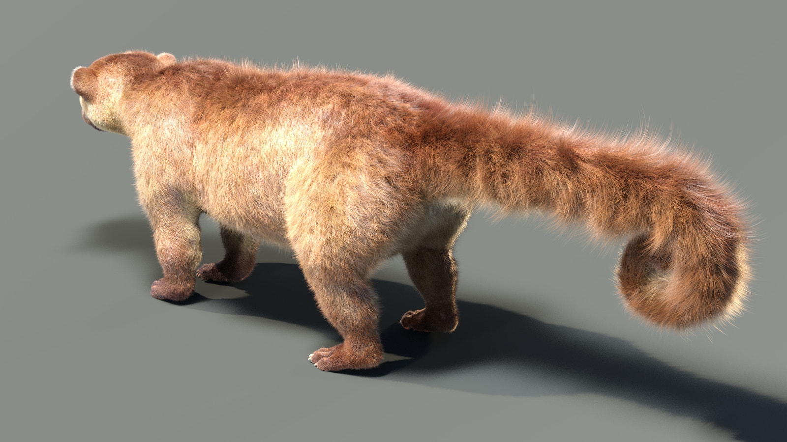 Kinkajou 3D model with realistic groomed hair and fur