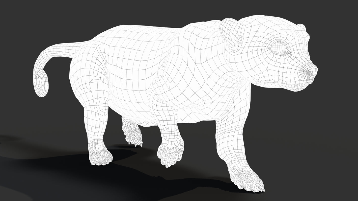 Rigged Kinkajou 3D Model Fur
