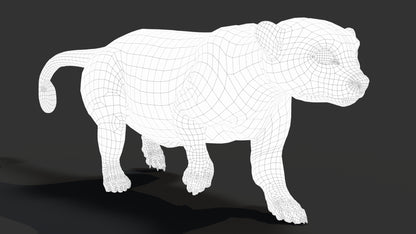 Rigged Kinkajou 3D Model Fur