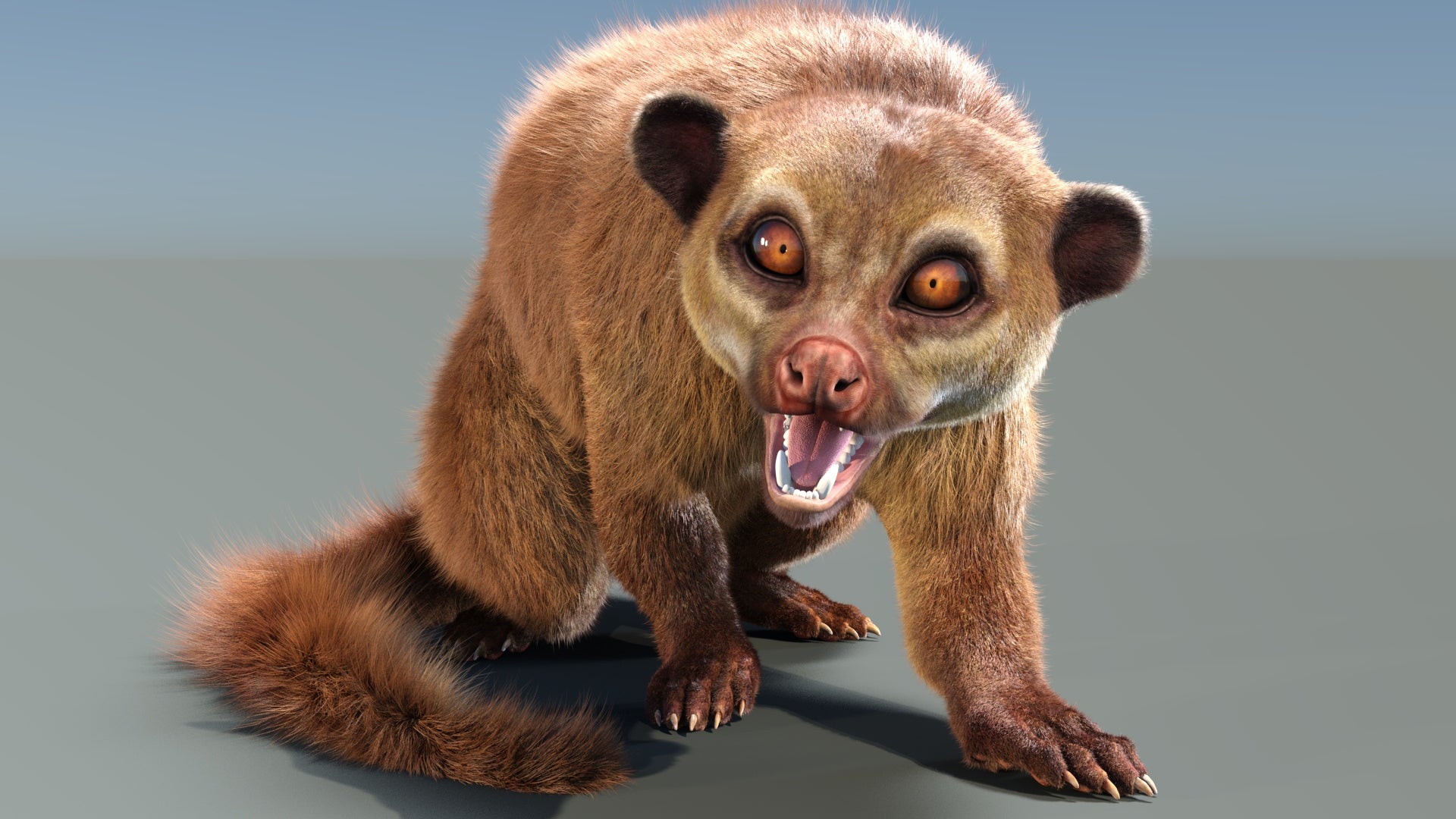Rigged Kinkajou 3D Model with Fur