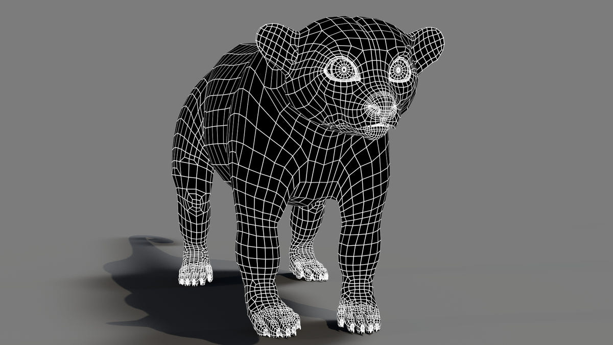 Rigged Kinkajou 3D Model Wireframe 02
