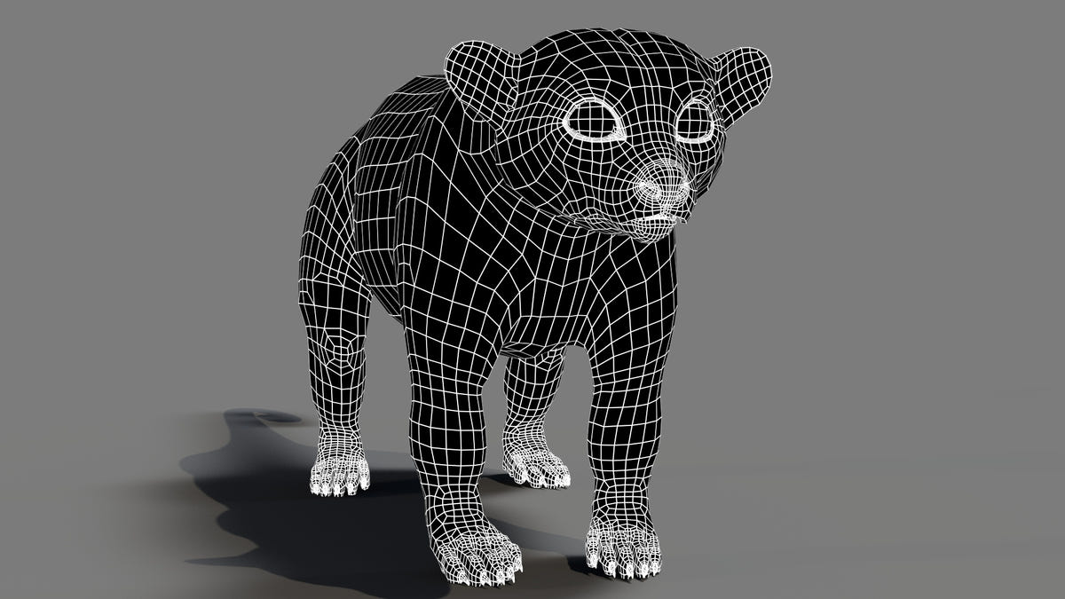 Animated Kinkajou 3D Model Wireframe 1