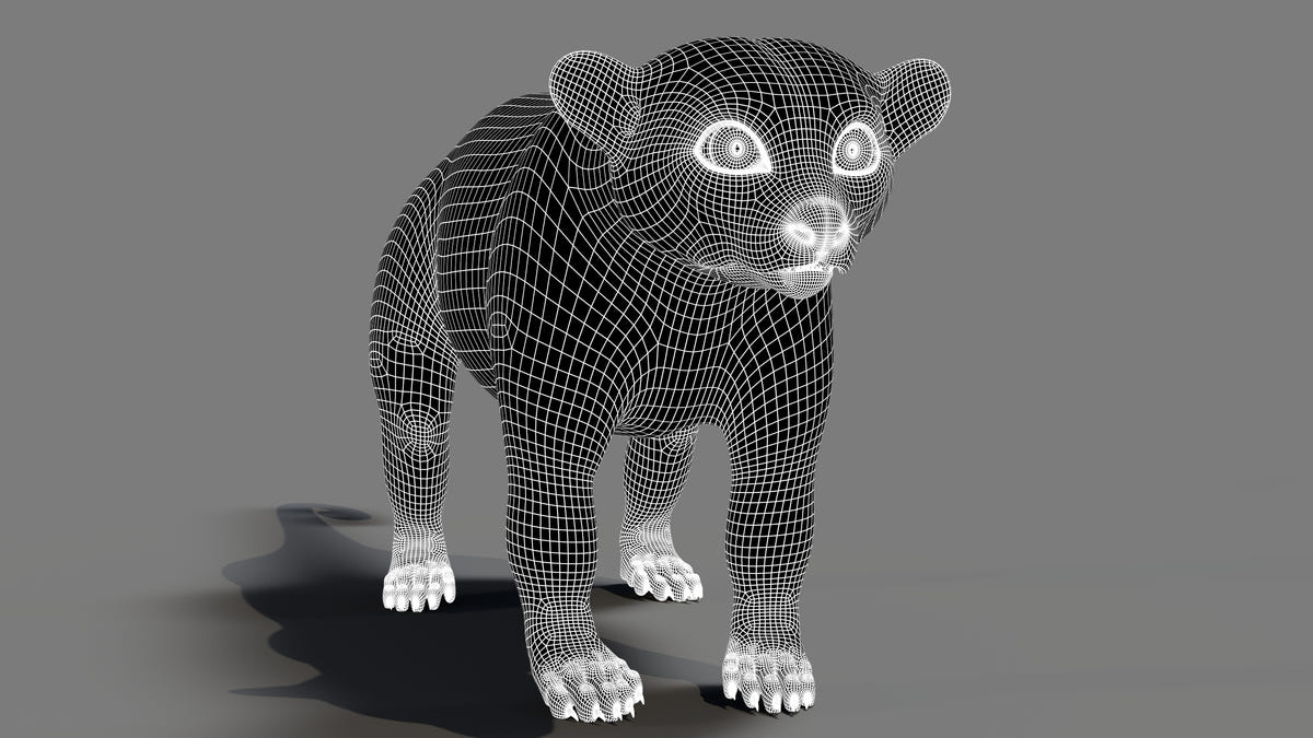 Rigged Kinkajou 3D Model Wireframe 03