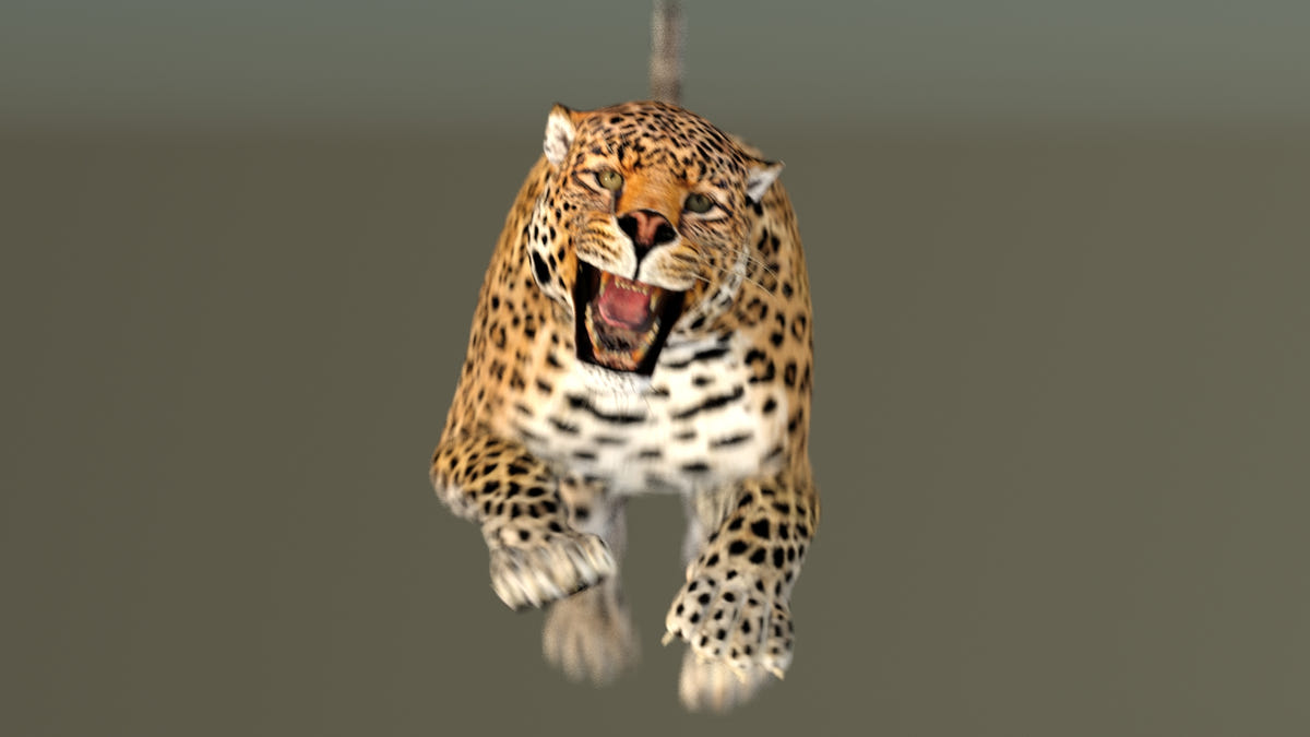 Animated leopard 3d model for download