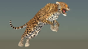 Leopard 3D Model with pouncing animation  Thumbnail