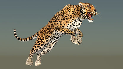 Big Cats Game-Ready 3D Model Bundle: Rigged and Animated