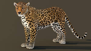 Leopard 3D Model Animated Thumbnail