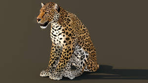 Leopard 3D Model Animated Thumbnail