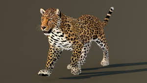 Big Cats Game-Ready 3D Model Bundle: Rigged and Animated Thumbnail