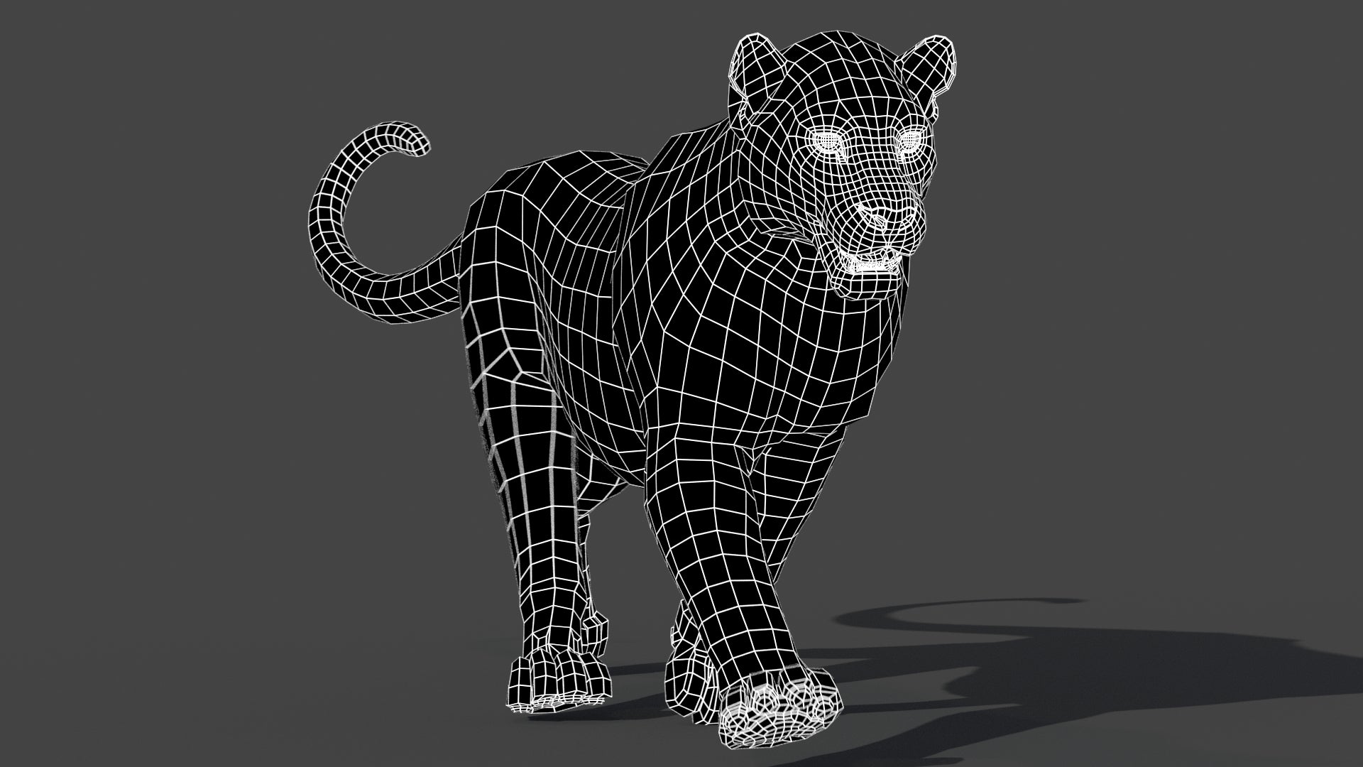 Rigged Leopard 3D Model Wireframe View