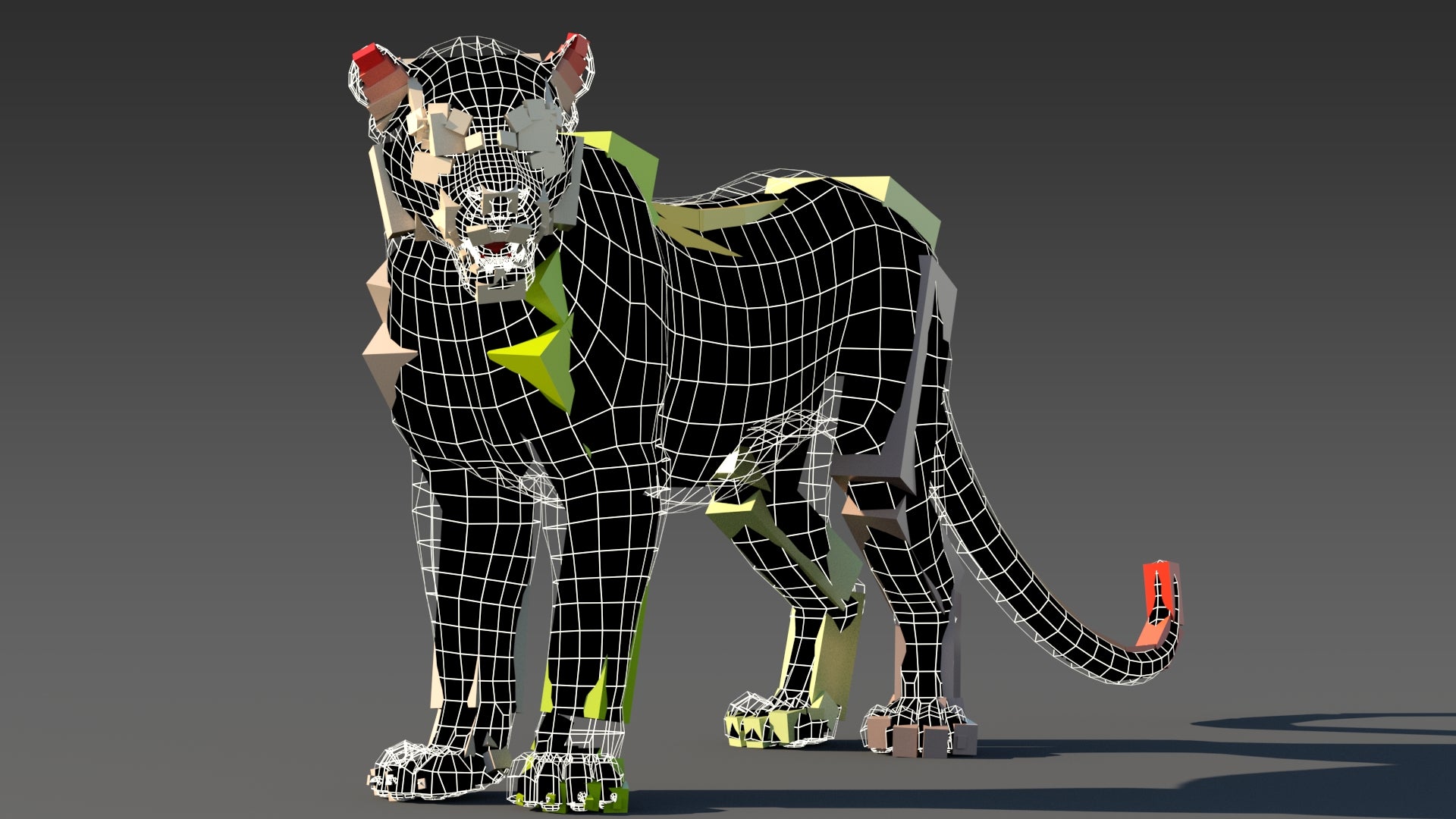 Rigged Leopard 3D Model Rigging on Wireframe View