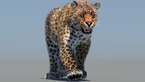 Animated Leopard 3D Model with Fur Thumbnail