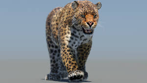 Big Cats Ultimate 3d Models Bundle Thumbnail