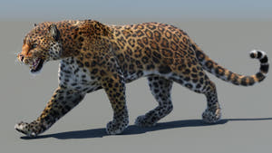Animated Leopard 3D Model with Fur Thumbnail