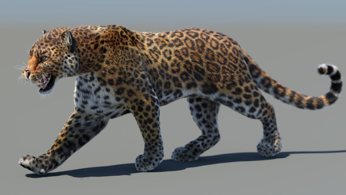 Big Cats Ultimate 3d Models Bundle