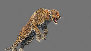 Animated Leopard 3D Model with Fur Thumbnail
