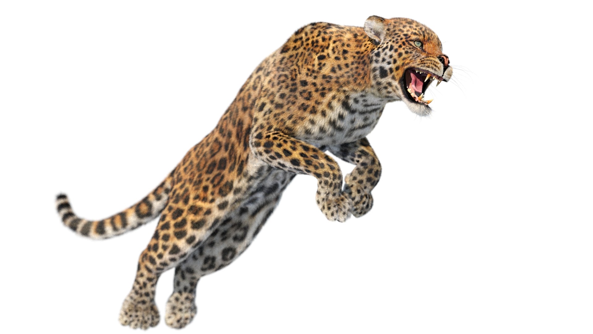 Rigged Leopard 3D Model with Realistic Fur Pouncing Pose