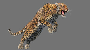 Animated Leopard 3D Model with Fur Thumbnail