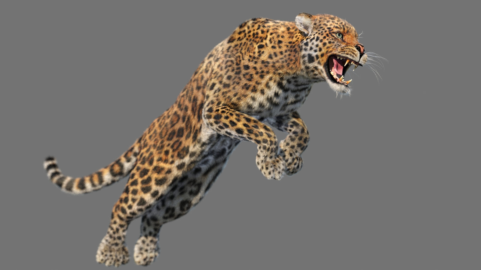 Big Cats Ultimate 3d Models Bundle
