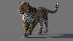 Animated Leopard 3D Model with Fur Thumbnail
