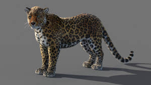 Animated Leopard 3D Model with Fur Thumbnail