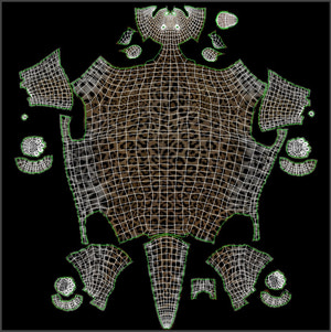Leopard 3D Model Body UVs Thumbnail
