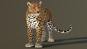 Rigged Leopard 3D Model for Download Thumbnail