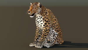 Leopard Rigged 3D Model for Download Thumbnail