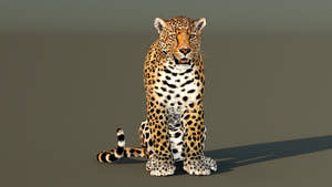 Leopard 3D Model CAT Rigged for Download Thumbnail