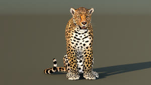 Leopard 3D Model CAT Rigged for Download Thumbnail