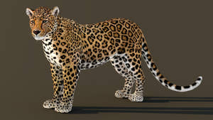 Standing Leopard 3D Model Rigged with 3ds Max CAT Motion Thumbnail