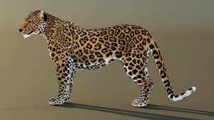 Realistic Leopard 3D Model Rigged with 3ds Max CAT Motion Thumbnail