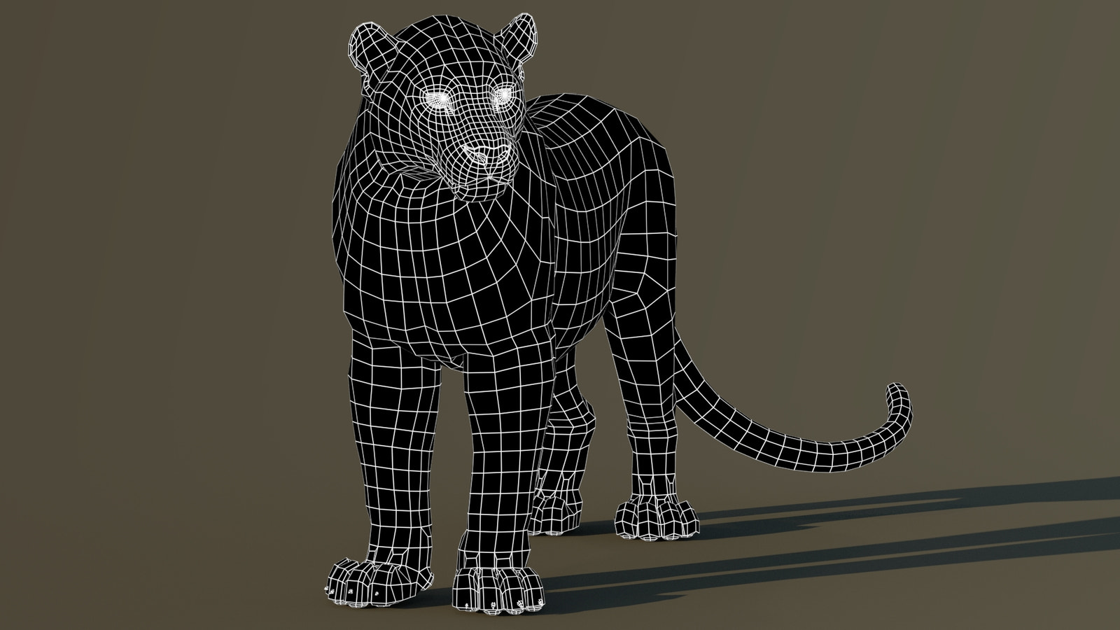 Leopard 3D Model Body Wireframe View Subdivision Level 0