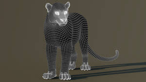 Leopard 3D Model Wireframe View Subdivision Level 1 Thumbnail