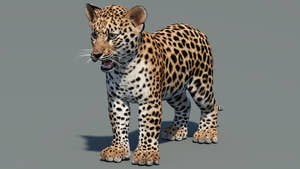 Leopard Cub 3D Model for Download Thumbnail