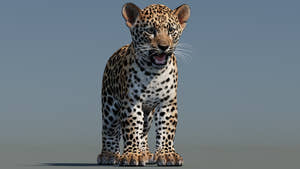 Leopard Cub 3D Model for Download Thumbnail