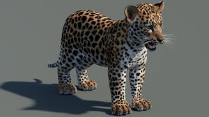Leopard Cub 3D Model for Download Thumbnail