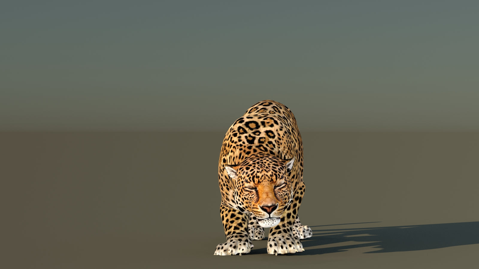 Leopard 3D Model Animated 360° view 6 frame 7