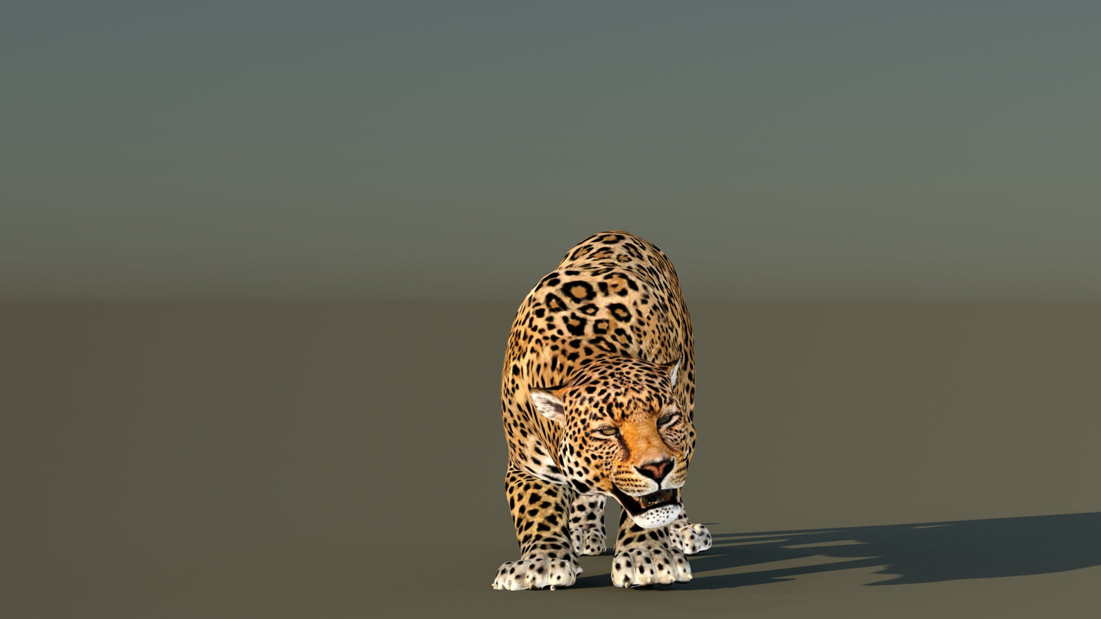 Leopard 3D Model Animated 360° view 6 frame 10