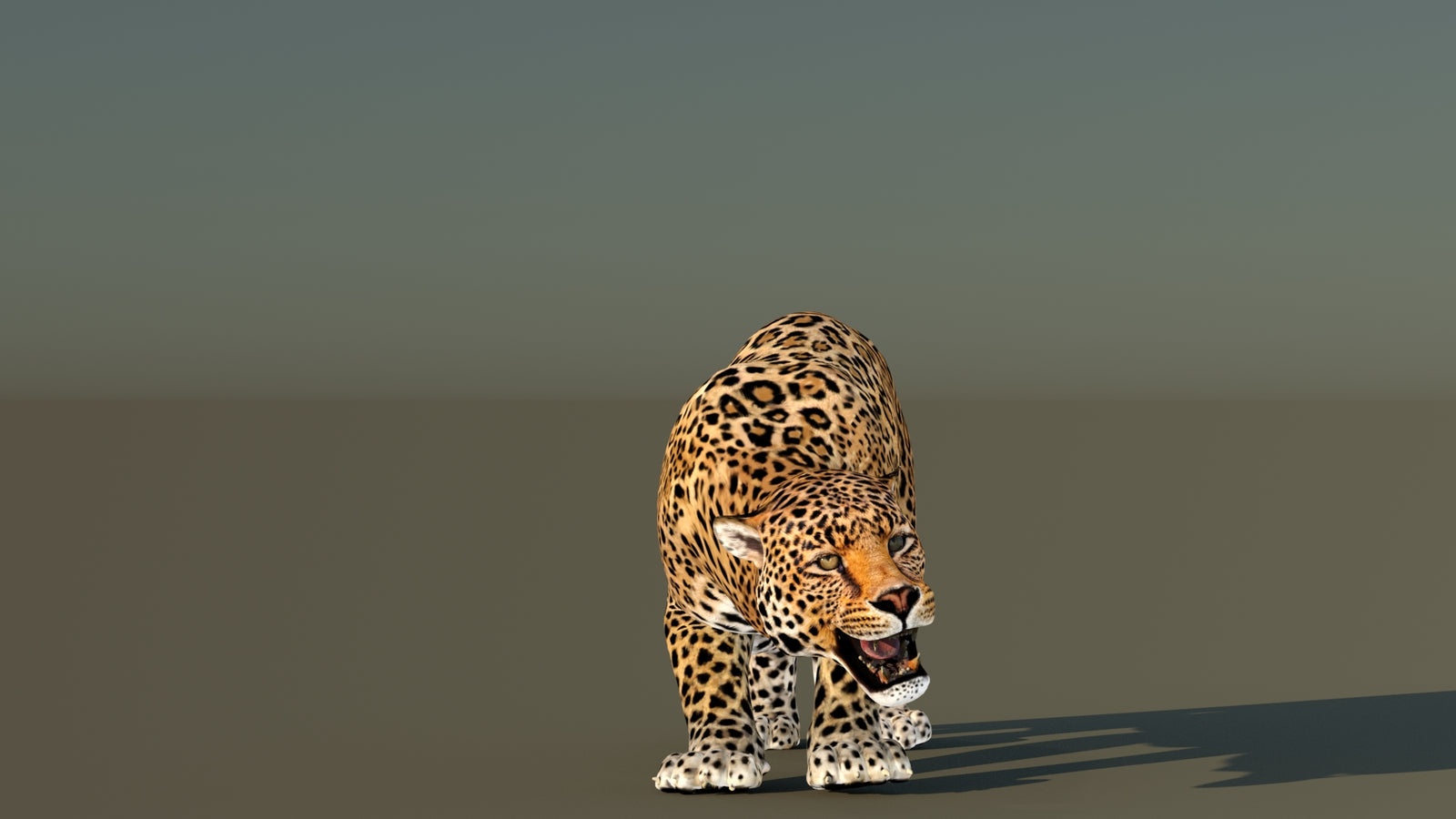 Leopard 3D Model Animated 360° view 6 frame 14