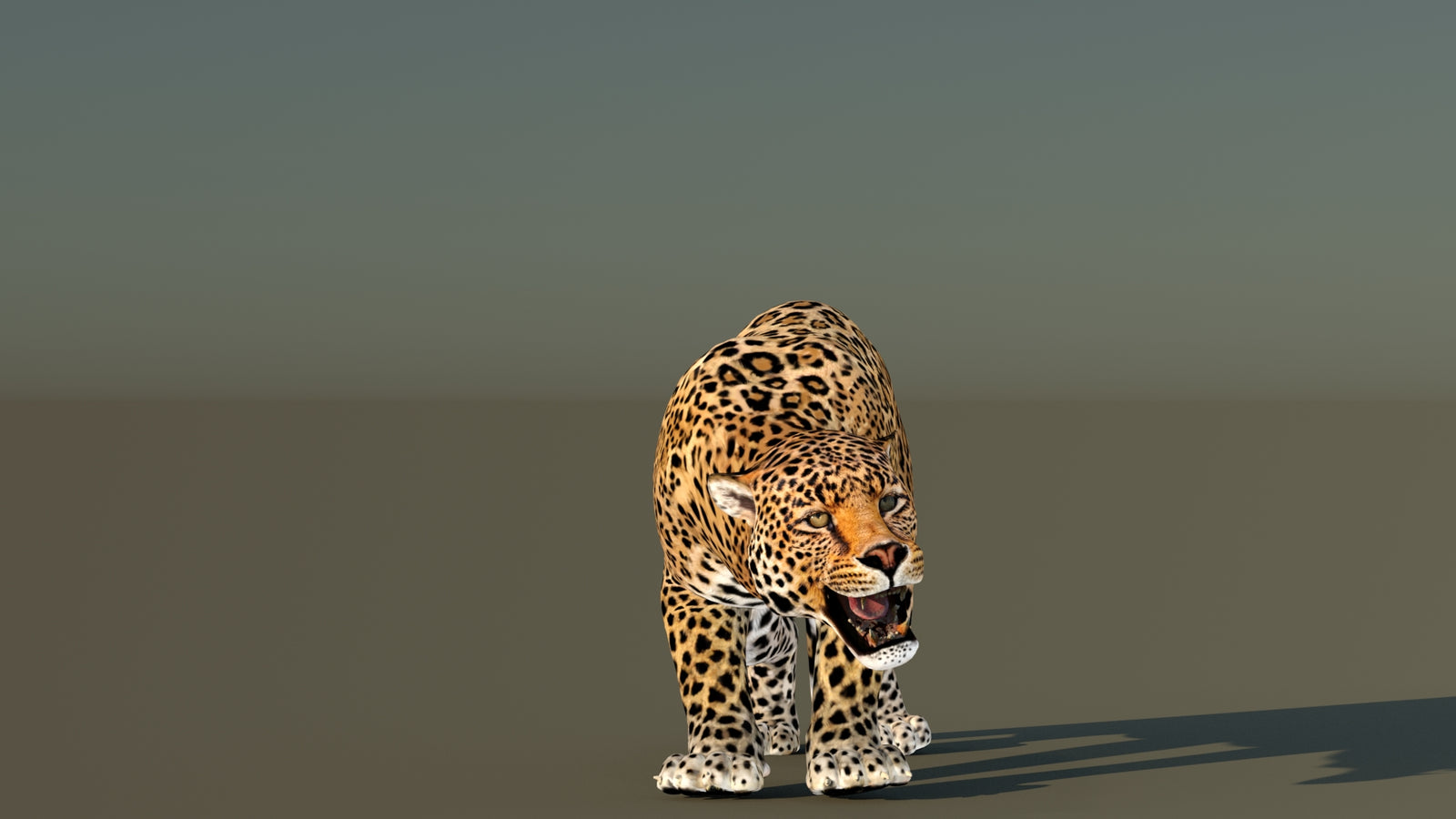Leopard 3D Model Animated 360° view 6 frame 15