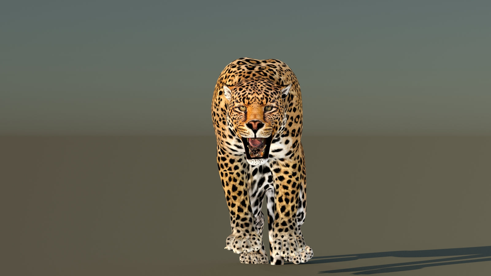 Leopard 3D Model Animated 360° view 6 frame 19