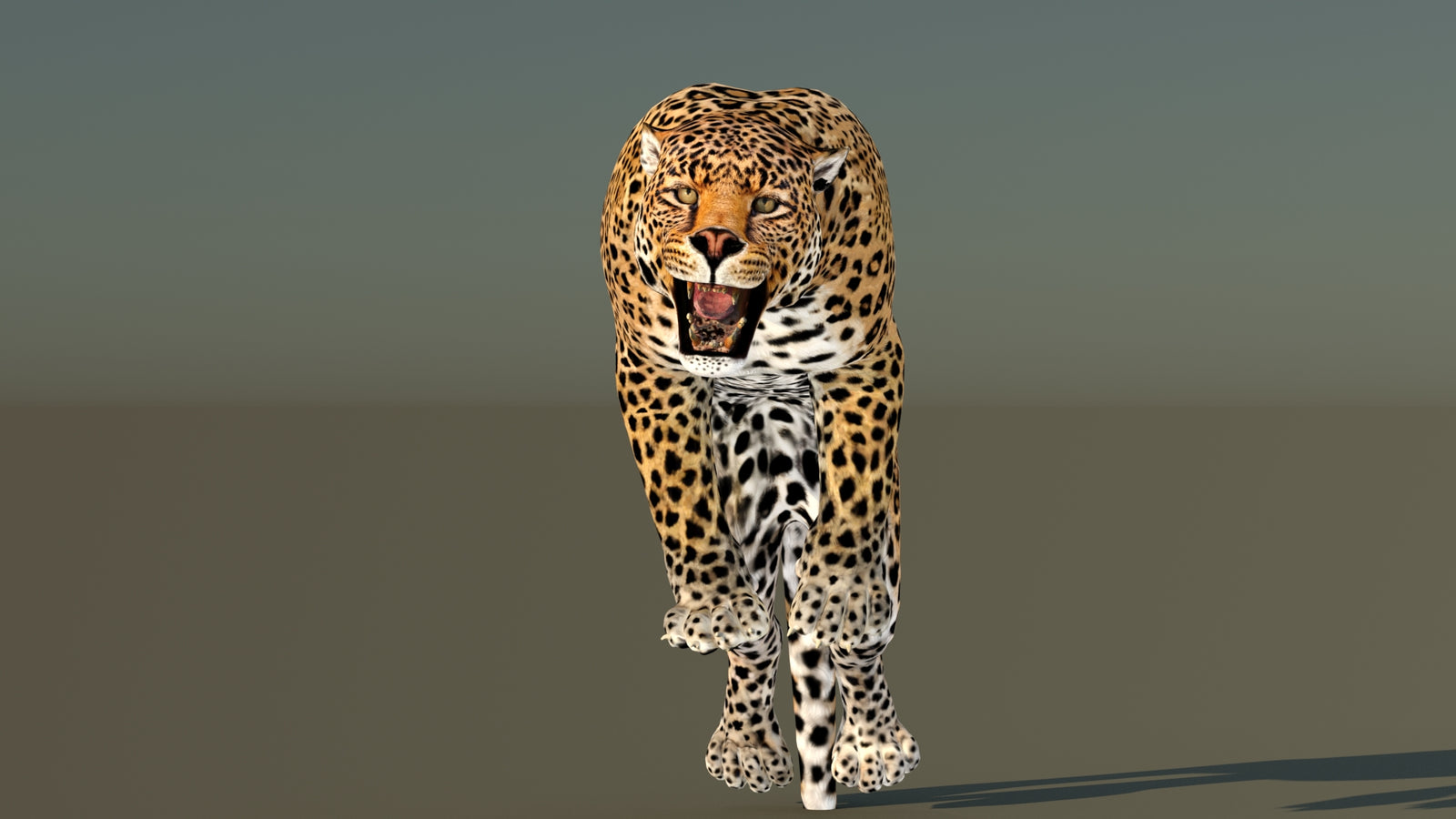 Leopard 3D Model Animated 360° view 6 frame 21
