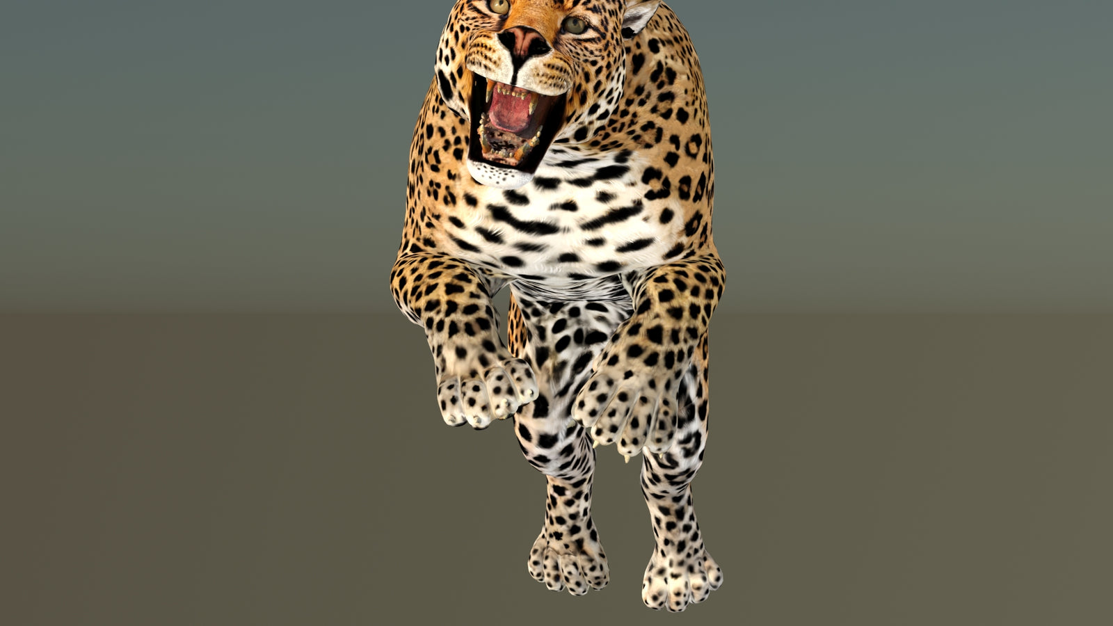 Leopard 3D Model Animated 360° view 6 frame 26