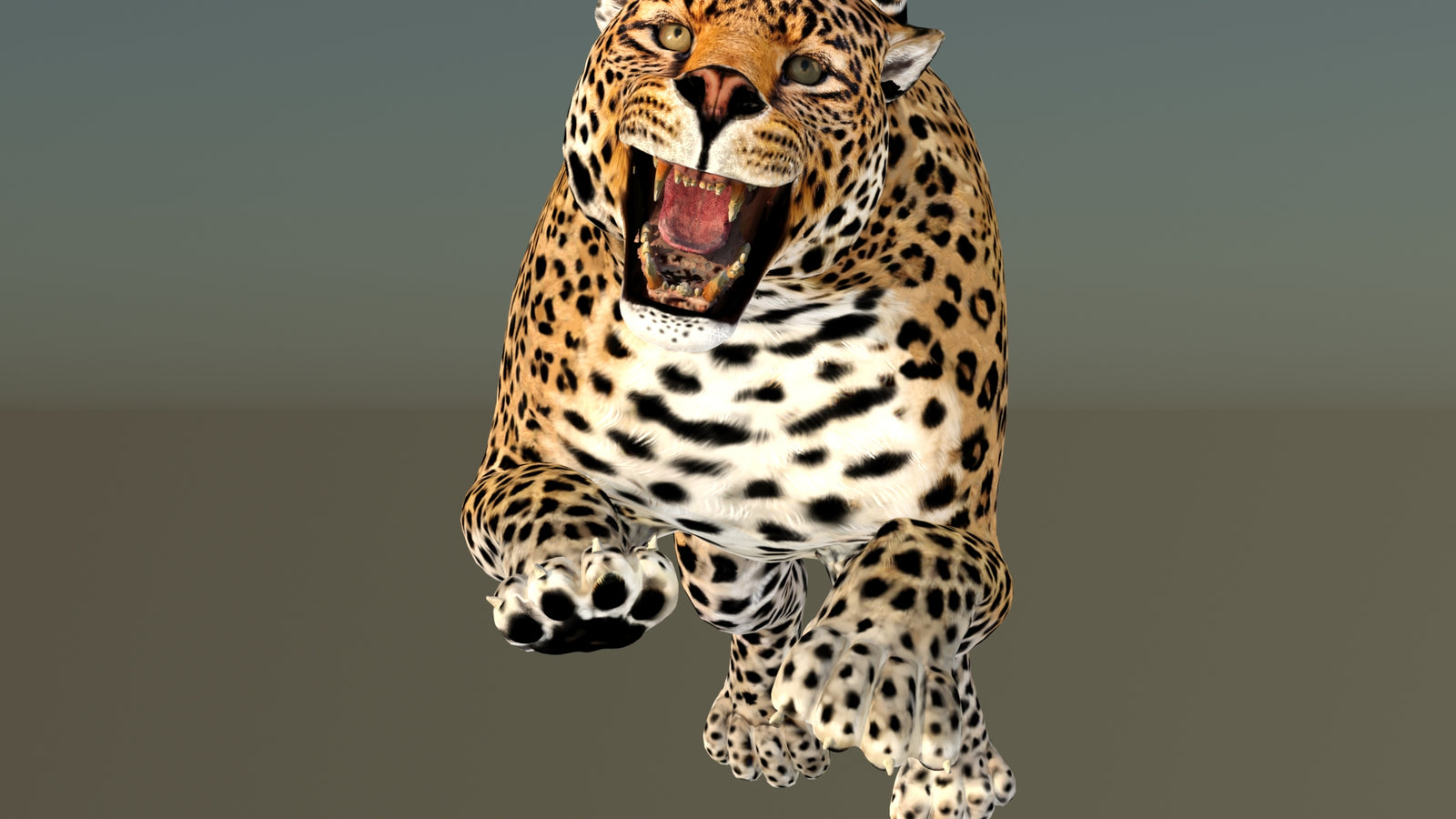 Leopard 3D Model Animated 360° view 6 frame 28