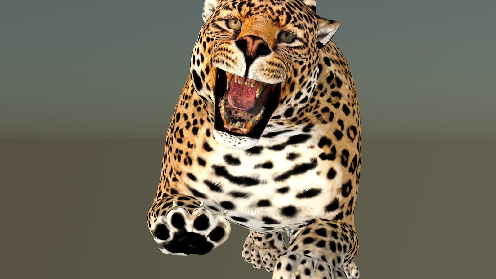 Leopard 3D Model Animated 360° view 6 frame 29