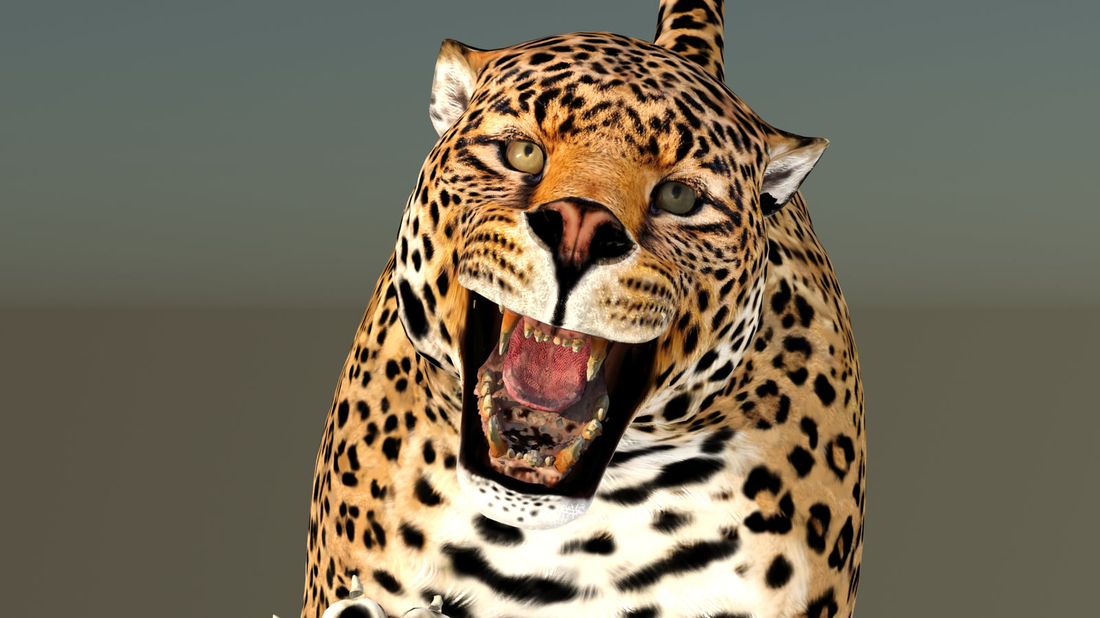 Leopard 3D Model Animated 360° view 6 frame 31