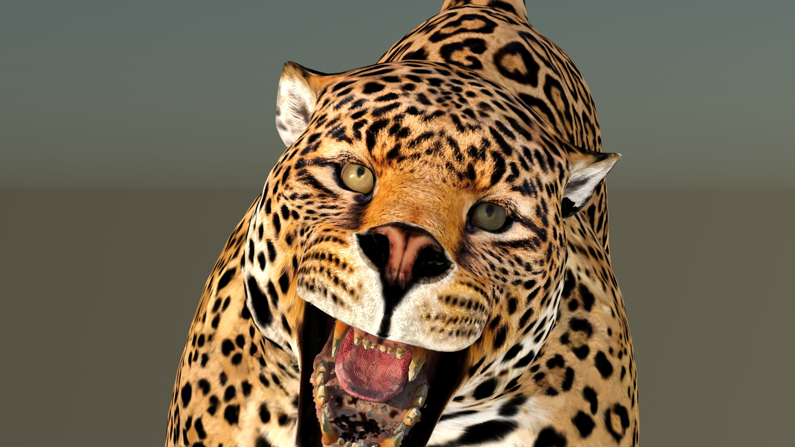 Leopard 3D Model Animated 360° view 6 frame 33