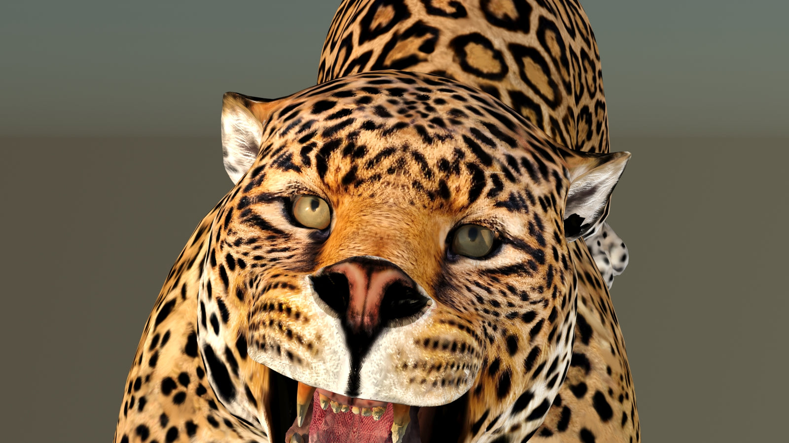 Leopard 3D Model Animated 360° view 6 frame 35