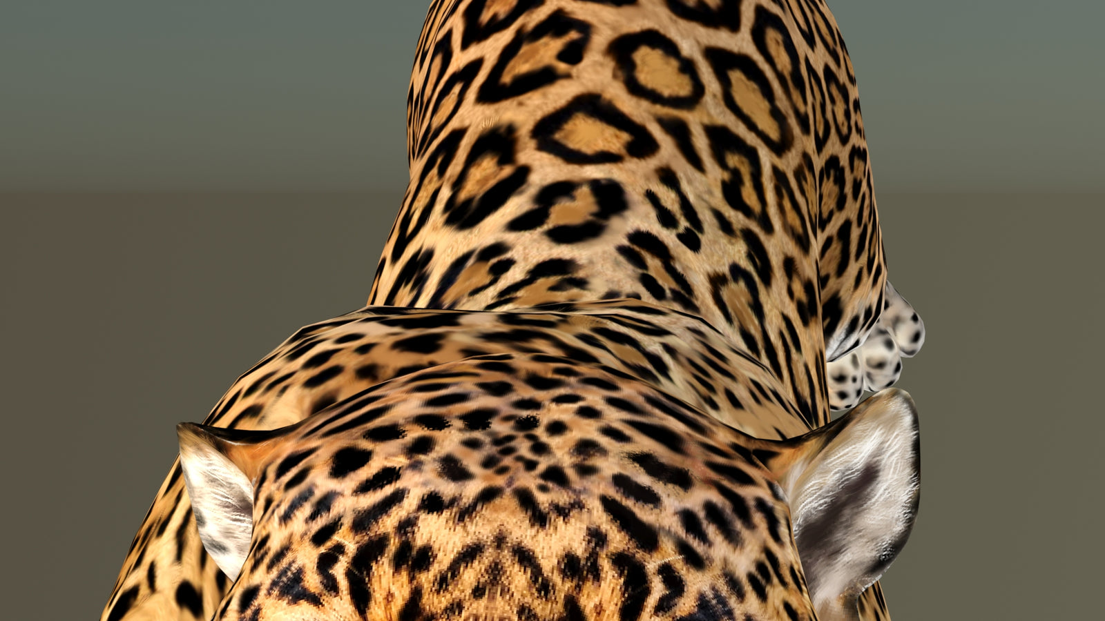Leopard 3D Model Animated 360° view 6 frame 38